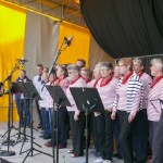 2012_06 fête de la musique Gaillards 2012_06 fête de la musique Gaillards