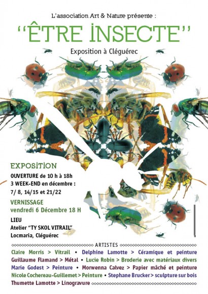 aff etre insecte web