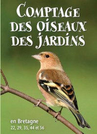 image comptage oiseaux