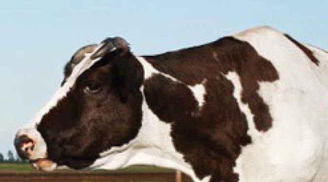 RÉUNIONS « S’INSTALLER EN AGRICULTURE »