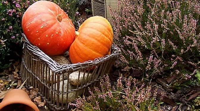 Résultats du Concours Photos « Couleurs d&rsquo;Automne »