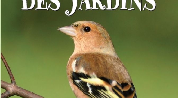 Comptage des oiseaux de jardins ce week-end