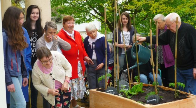 Jardinage intergénérationnel !  