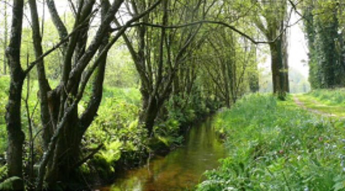 Sentiers d'interpretation